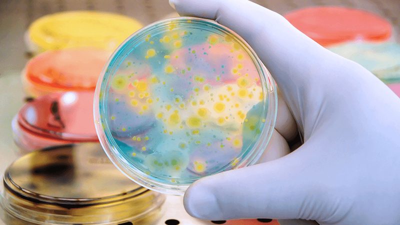 成都生物医药外包报价单：揭秘生物医药外包服务的价格构成