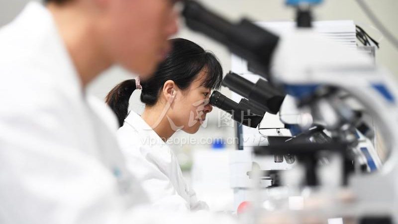 CDMO的质量管理体系直接关系到产品的安全性和有效性。企业应关注以下方面：
