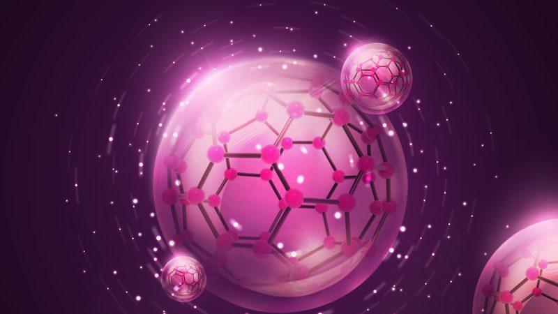 广东生物科技饲料：揭秘其发展现状与未来趋势**