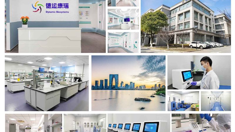 CRO策略转化率提升方案：从实验设计到数据落地的完整路径