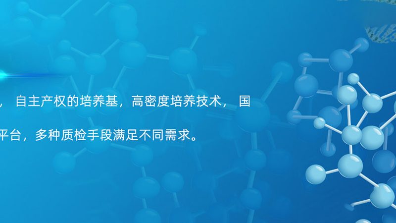引物合成：关键步骤与长度选择要点解析**
