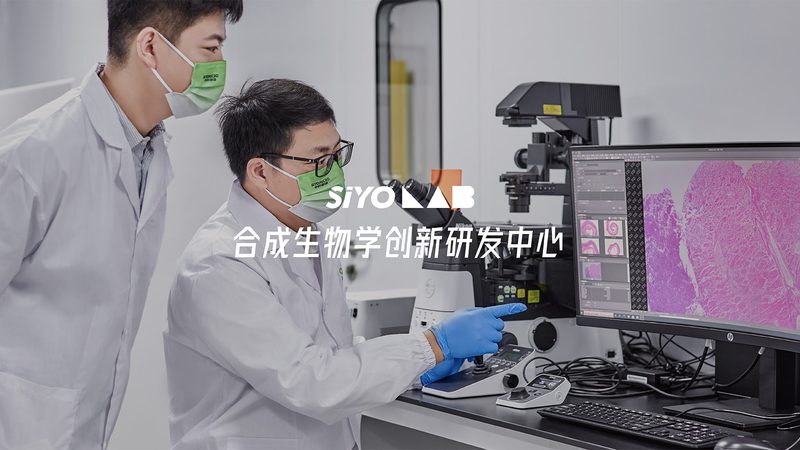 鼠抗人单克隆抗体储存条件：揭秘关键因素与标准**