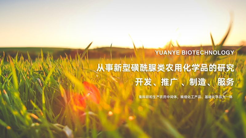 生物科技公司产品参数报价单：揭秘参数背后的技术奥秘