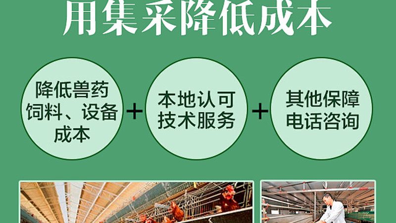 基因检测定制化服务：参数标准揭秘