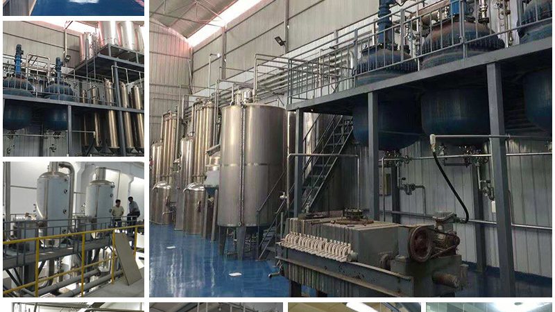 CHO细胞培养基：揭秘其背后的技术奥秘与应用**